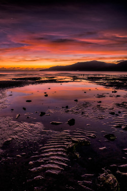 sundxwn:  Cairns Esplande by PaulEmmingsPhotography