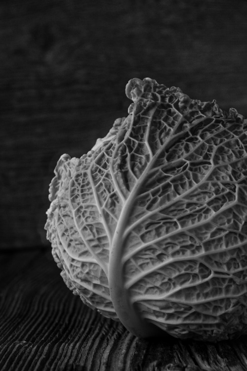 Savoy cabbage