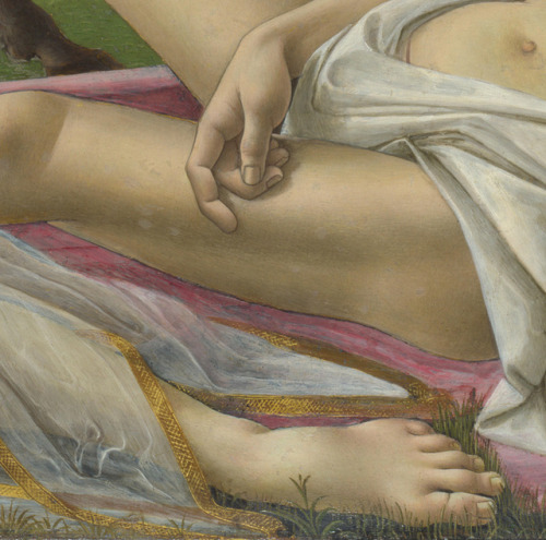 ars-videndi:Sandro Botticelli, Venus and Mars, c.1483, tempera on panel,69 x 173.5 cmNational Galler