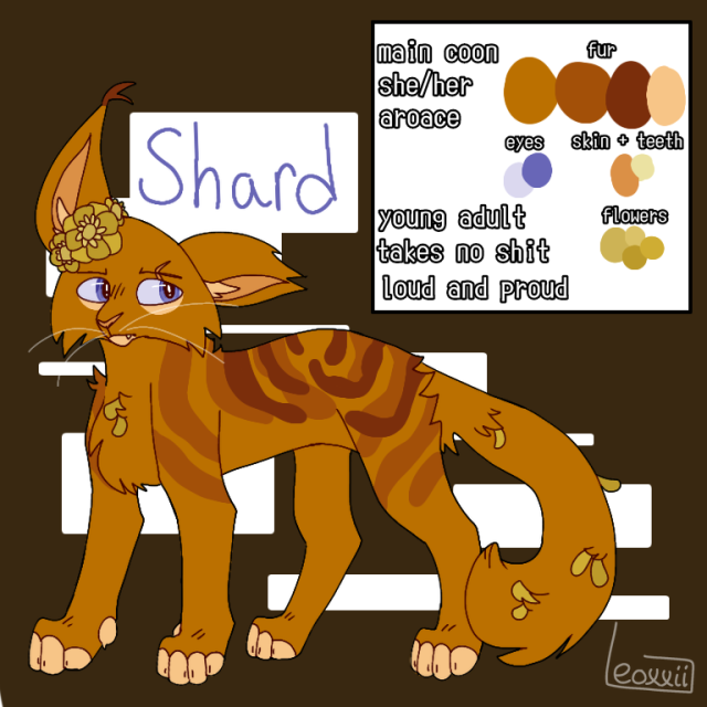 a reference sheet of a cat named "shard". the background is brown with white rectangles behind the character. shard has purple eyes, long bulky orange fur, and dark orange spiral stripes centered along her back. her toes are cream colored, along with her chin and under her eyes. she's wearing a yellow flower crown on her left ear, and several yellow petals cover her chest and tail. she has a torn right ear and a scar across her right eyebrow. one if her teeth is poking out of the corner of her mouth. she's standing with a stern expression. a white box next to her has circles of the colors for easier color selecting, and a few facts that state, "main coon, she/her, aroace". a bit below is, "young adult, takes no shit, loud." /end id.