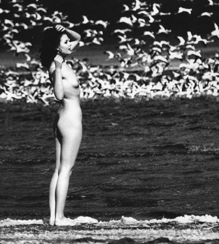 habitantes-oazj:Author - Masaya Nakamura  - Ema Nude in Africa 1971 1st Edition