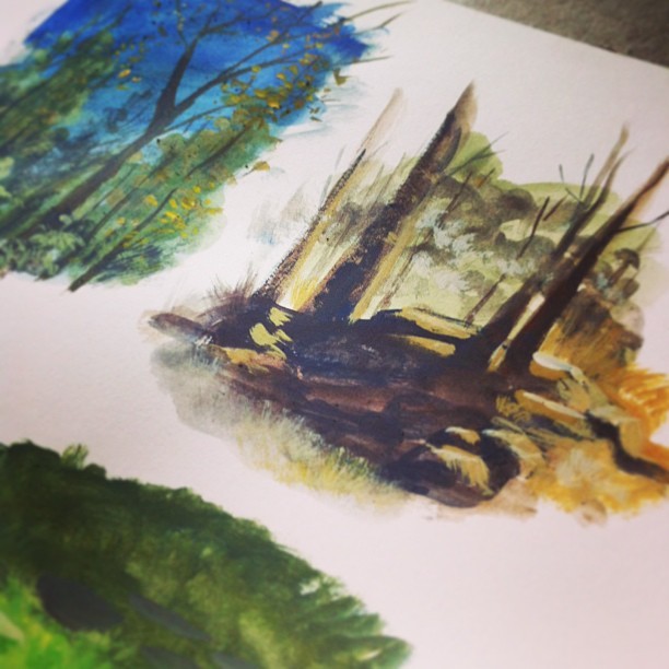 Some #gouache sketches I made this morning from The Middle of Nowhere, Vermont. #art #sketch #painting