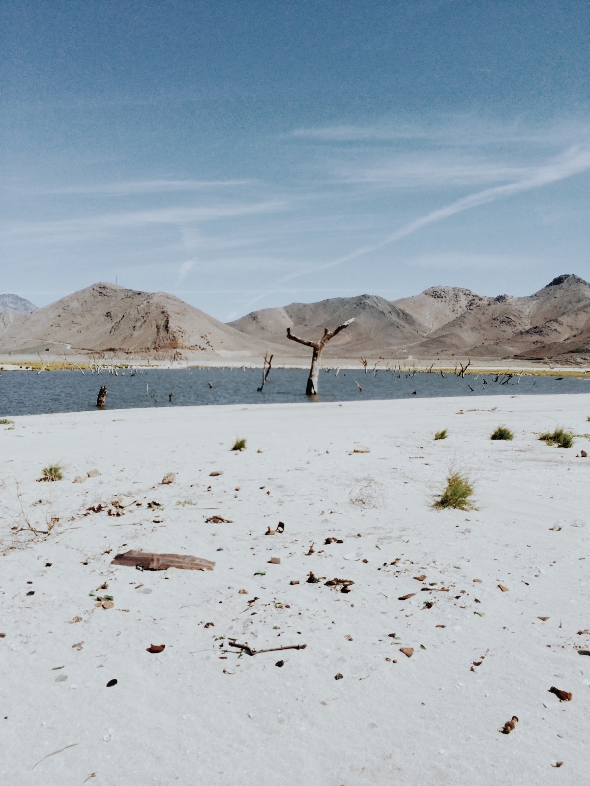 danielodowd:  Kevin Russ