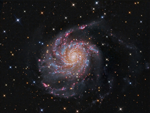 galaxyshmalaxy:Pinwheel Galaxy M101 with H-Alpha (by Terry Hancock www.downunderobservatory.com)