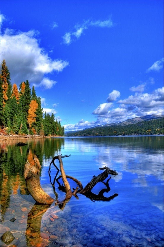 awesome landscapes!