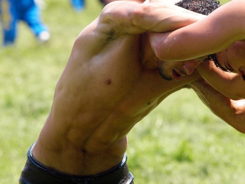 Yağlı güreş / Turkish oil wrestling porn pictures