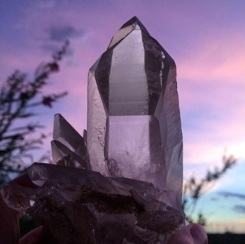 mineraliety:
“ This photo of Quartz by @structure_minerals is so relaxing to look at /////
www.instagram.com/mineraliety
”