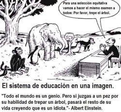 elgenmeme:  El Sistema de educación en una Imagen