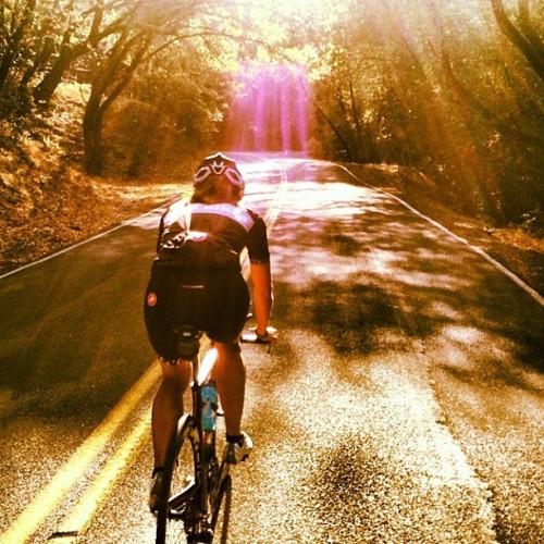 youcantbuyland: castellicycling: #ff @lauraomeara NorCal Love the light