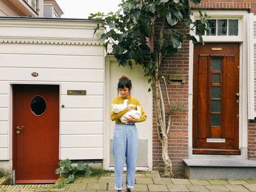 caseykaui: me touching a cat, a feat in itself! this one was cute, roaming the streets of Zunderdorp