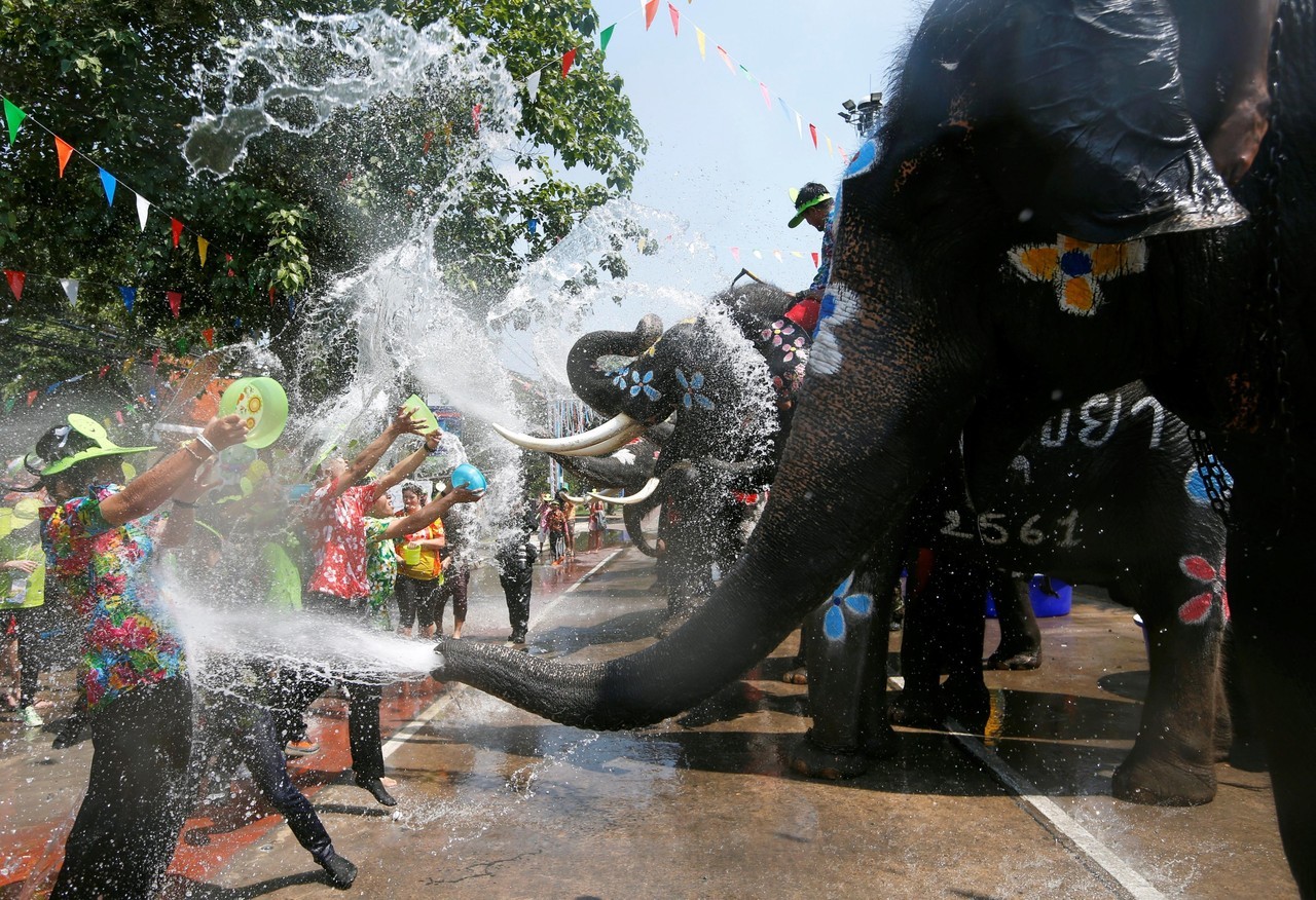 AÑO NUEVO TAILANDÉS. Elefantes y humanos se lanzan agua durante las celebraciones del Festival Songkran en Ayutthaya, Tailandia. Este Festival conmemora el Año Nuevo tailandés y dura tres días. (EFE / AFP)
MIRÁ TODA LA FOTOGALERÍA—>