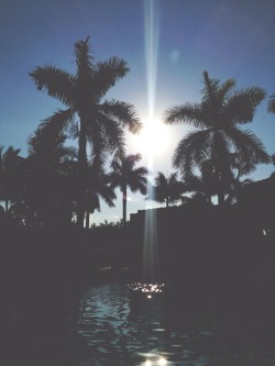 Superrnovagirl:  Another Beautiful Day In Paradise, I Love My City 🌴🌞 