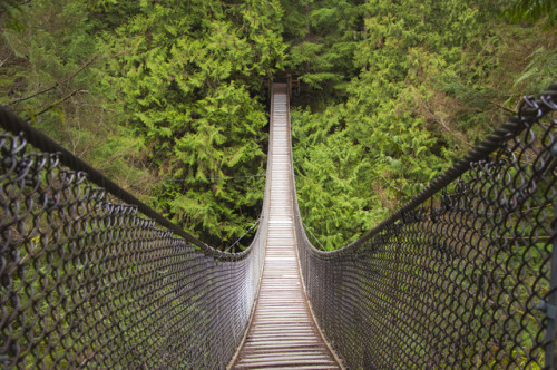 Lynn Canyon Suspension BridgeVancouver, British Columbia