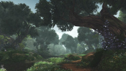 wowcaps:  azerothexplored:  Spirit Woods, Nagrand, AU Draenor  Georgous