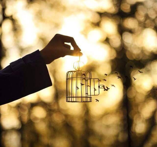 صورة