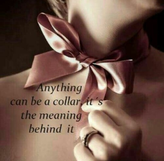 theblushingdaisy:  