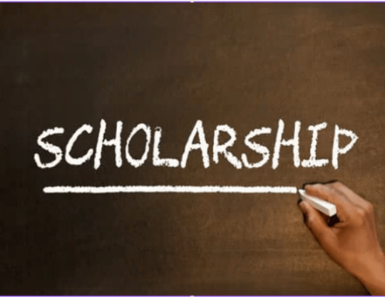 Stellenbosch University Postgraduate Scholarship for African Students