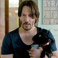 parks-and-rex: boobies-are-candy:  parks-and-rex:   parks-and-rex:   mcthedoodler:   parks-and-rex:   parks-and-rex:   parks-and-rex:   justcuchu:   parks-and-rex:   parks-and-rex:  REBLOG IF YOU LOVE DOGS     MAYBE I’M SMALL AND EMOTIONALLY UNSTABLE
