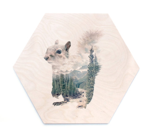 lustik:  Faunascapes Plywood Prints by WhatWeDo. Etsy Shop Lustik:  twitter | pinterest | etsy