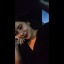 victoriahiguera
