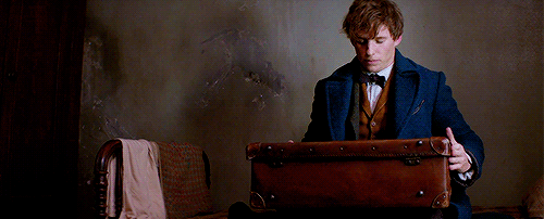 별이 모두 네 안에 있어 — To Lift Your Spirits High [Newt Scamander x...