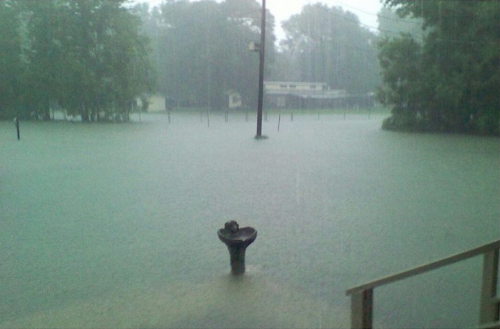 the-lonely-one96: almalexias: Louisiana is experiencing the worst flooding in the history of the sta