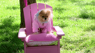 When I'm all dressed up to go out and my friends aren't answering my texts