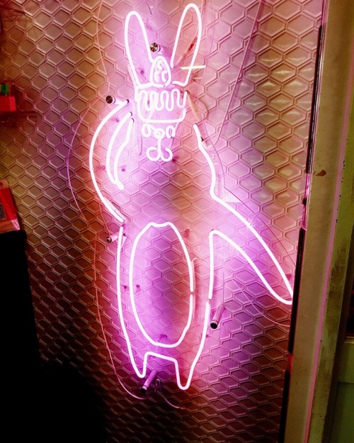 a bunny kind of dayig @ potatokki_