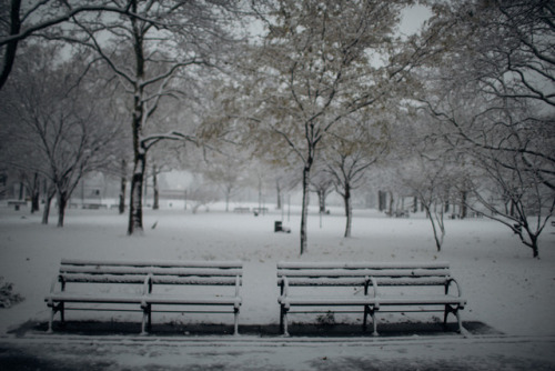 now-youre-cool:  Queensbridge Park, New York City - 12/9/2017  my photos on instagram: https://www.instagram.com/nowyourecool/ 