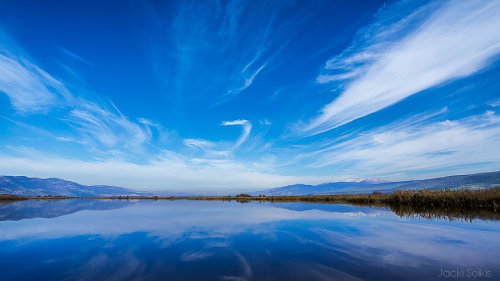 Agamon Hula by Jacki Soikis Hula Lake Park (Agamon HaHula), Northern Israel