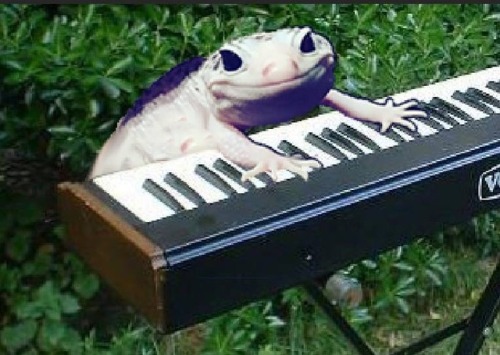 espeonns:Sing us a song, you’re the piano man