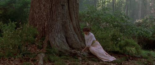 tuck everlasting, 2002dir. jay russell