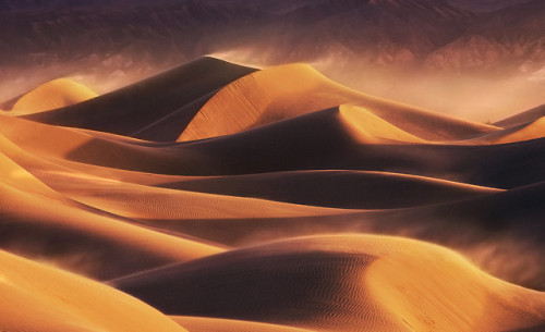 childrenofdune:Caladan & Arrakis.Denis Villeneuve’s Dune. Norway, UAE, Jordan.