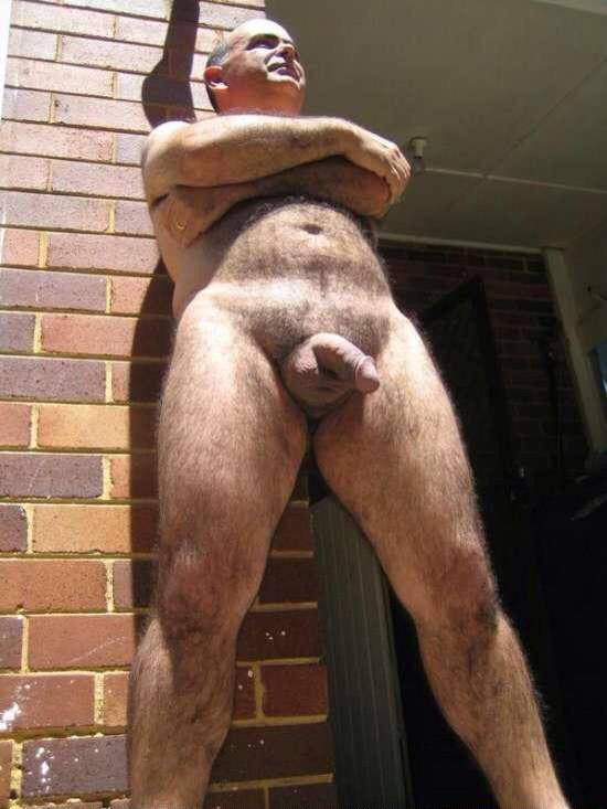 Hairy gay men