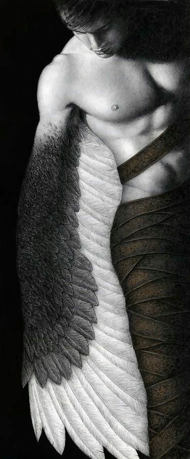 stirsmypassion:  http://stirsmypassion.tumblr.com/archive