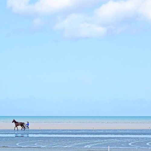 Blue like the sky or like the sea, the French photographer Murielle offers mininal and neat pictures