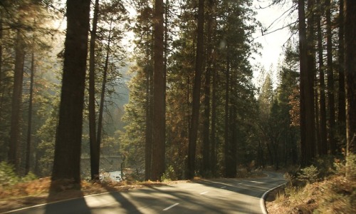 mystrawberrypicnic: panamint: yosemite, last fall