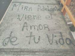 gatitos-on-the-floor:  Caminando por la calle me encuentro con esto en el suelo :’) 