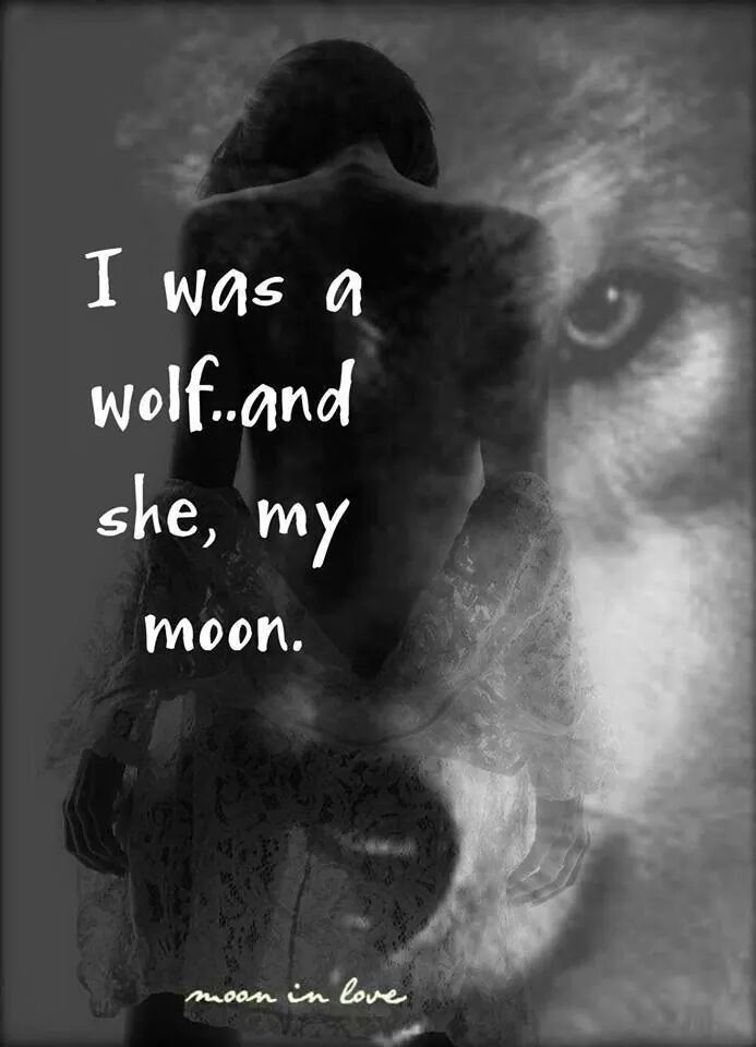 wolf-and-kitten:  I’m still a wolf, and she’s not just my moon. She’s my stars