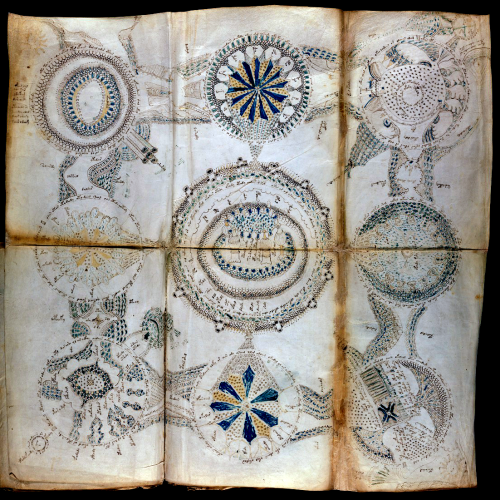 hideback: Voynich Manuscript Weird plants that never existed; nude women frolicking through intestin