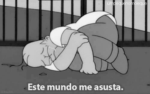 Mi mundo, mi vida