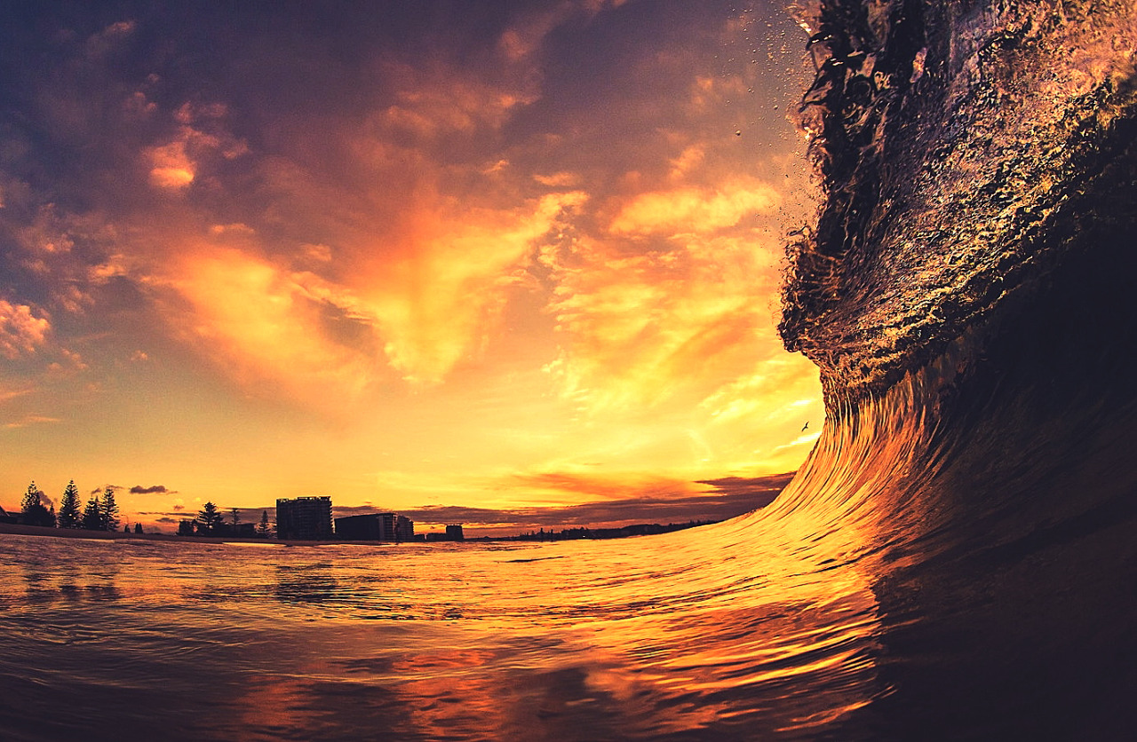 wavemotions:  Wave Sequence 8Credits: 1, 2, 3, 4, 5, 6, 7, 8, 9, 10