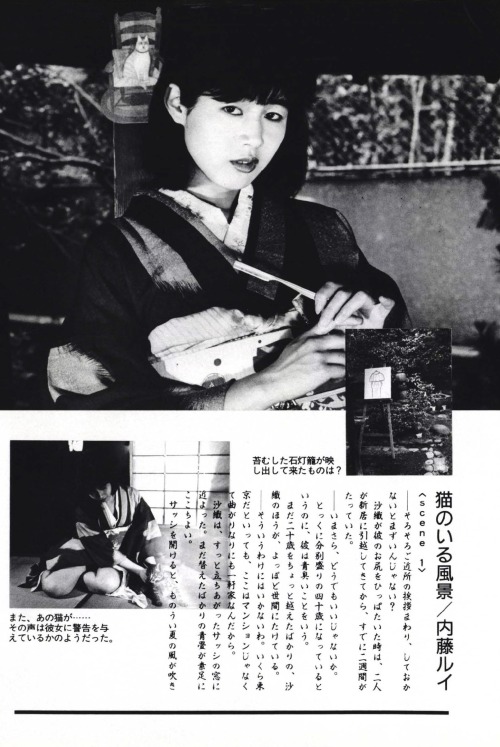 sdes:『ニュー・アラキズム 昭和写真物語 2 猫のいる風景』 S&Mスナイパー1986年10月号。モデル：真堂ありさ