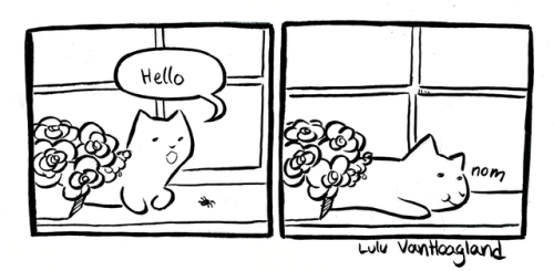 whateverthepoodle:indifferentsocks:Made it to 10 Boober comics!Have a big post of kitties. I think I