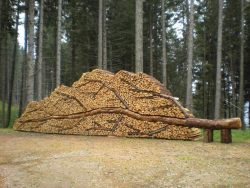 blazepress:  This woodpile is glorious.