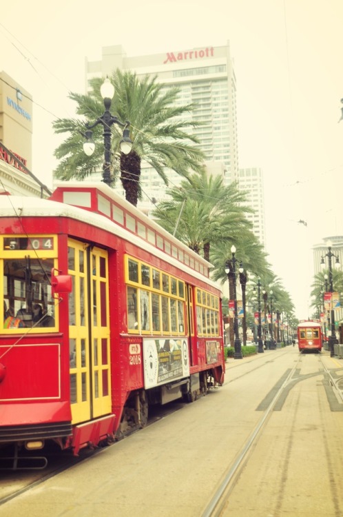 Photo Shoot: Trip to New Orleans!