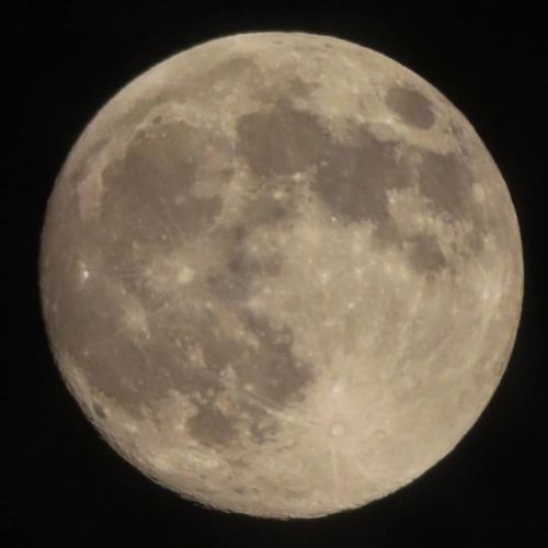 The biggest moon of the year, huh  #photography #moon #fullmoon #supermoon #night #луна #полнолуние 
