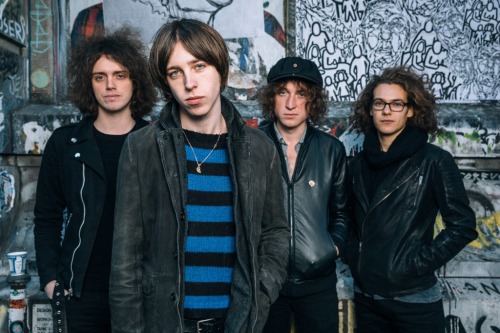 catbmen:These photos are amazing. Catfish and the Bottlemen by Rachael Wright