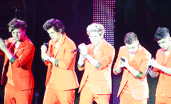 flawlessharry:  One year since the Amsterdam TMH concert (03.05.2013 - 03.05.2014)