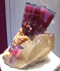 witchedways:  mineralists:  ‘One of the incredible specimens recovered from the 1972 Blue Cap  pocket from the Tourmaline Queen Mine in Pala, California.’  bewitched forest 